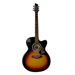 Matte Finish 36'' Toonwood Kids Acoustic Guitar